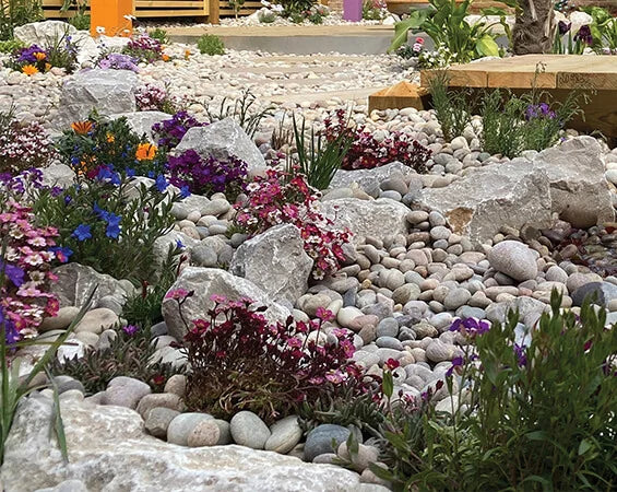 Longstone Rockery c.250 MM