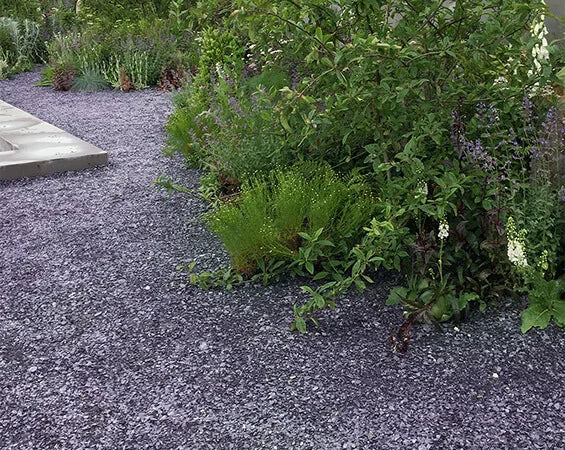 Plum Slate Path 0 - 12mm